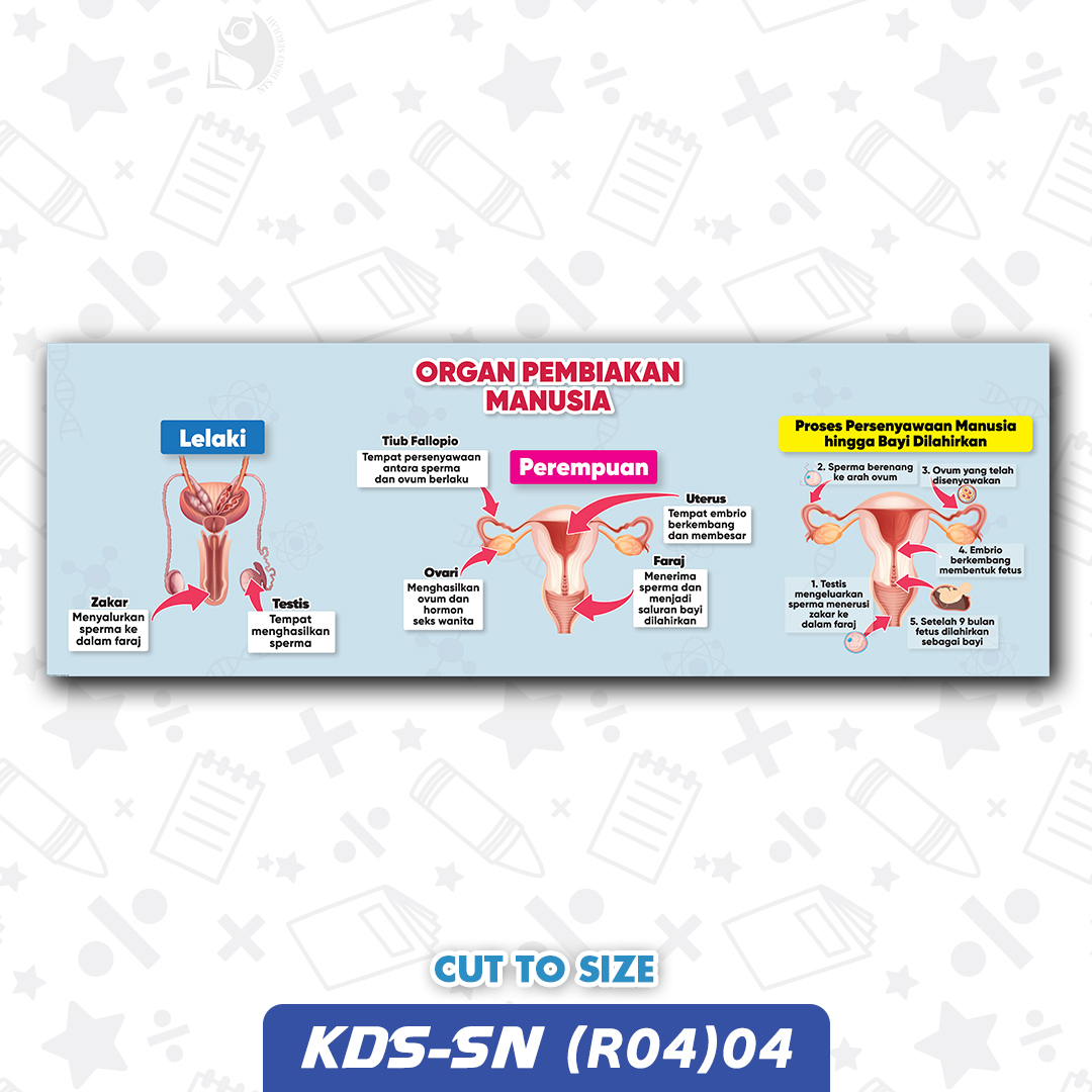 KDS-SN (R04)04